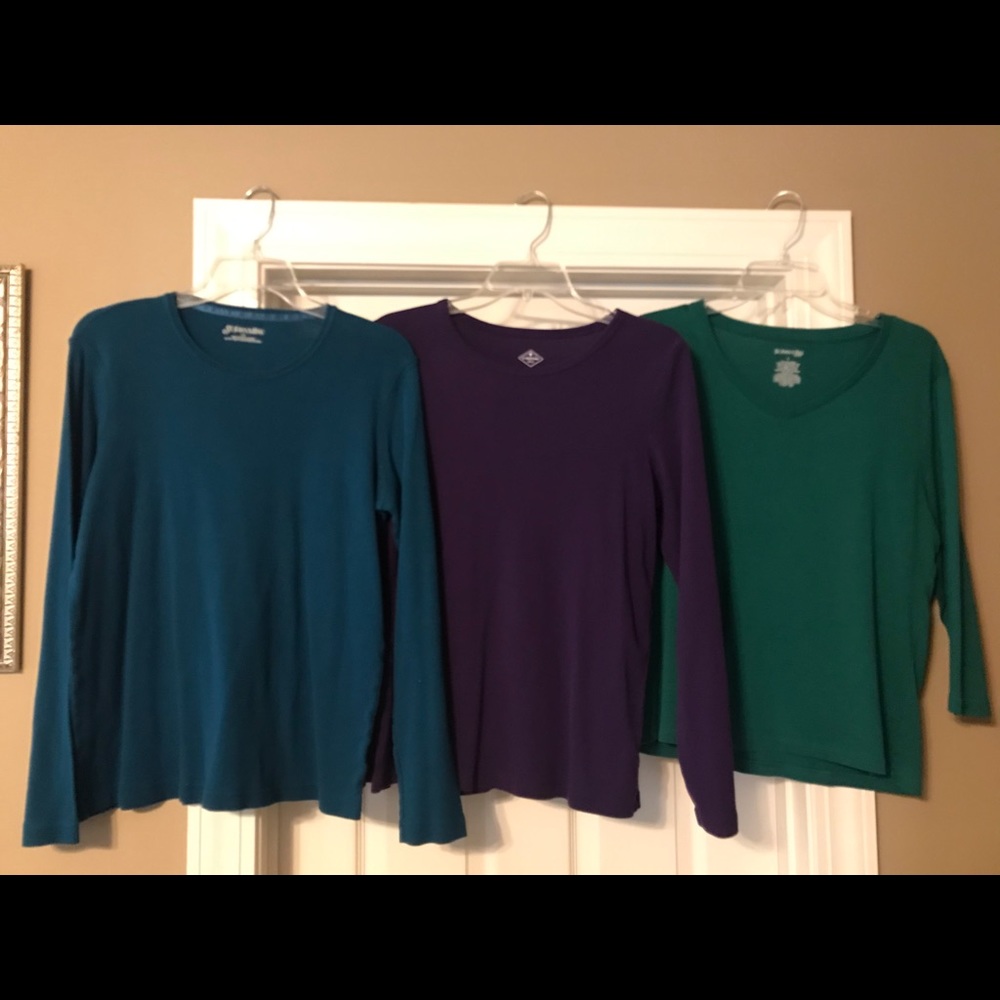 Set of 3 (2 LS & 1 -3/4 length) sleeve tee shirts